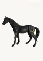 Vintage Black Stallion