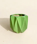 Pickle Green Ceramic Planter