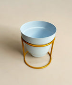 Single Mini Desk Planter With Golden Stand