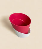 Self Watering Planter