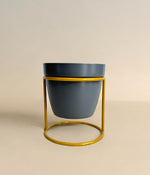 Grey Pot with Stand