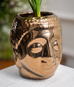 Aglaonema Snow in Buddha Ceramic Planter