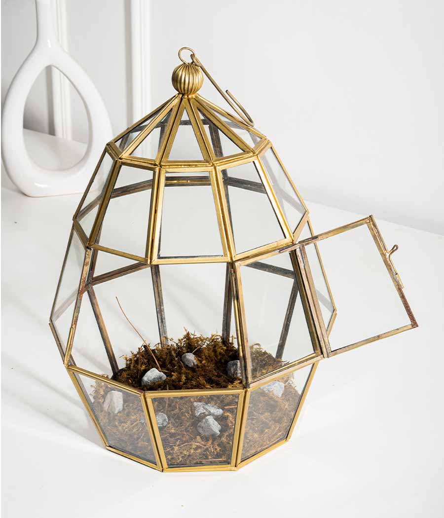 Juno Terrarium