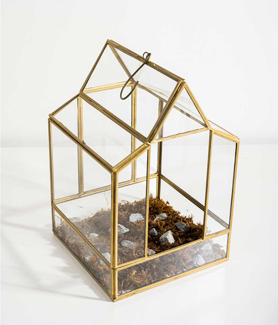 Vatican Terrarium