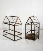 Shillong Terrariums - Set of 2