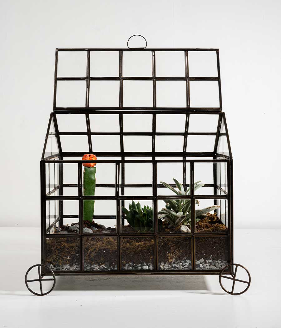 Odessa Terrarium