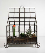 Odessa Terrarium